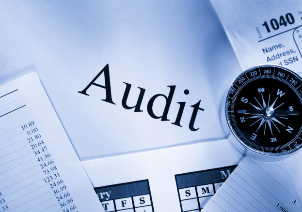 Which Organization Audits Charts Regularly