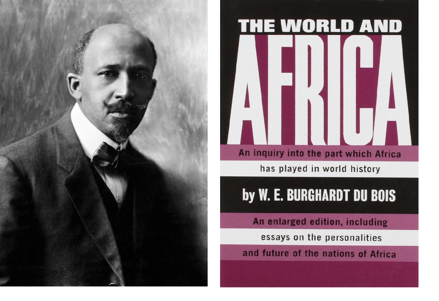 Review of The World and Africa: W. E. B. Du Bois' Radical